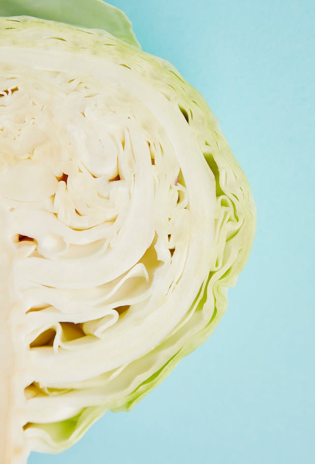 how to tell if cabbage is bad