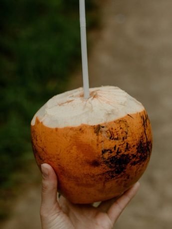 coconut juice recipe