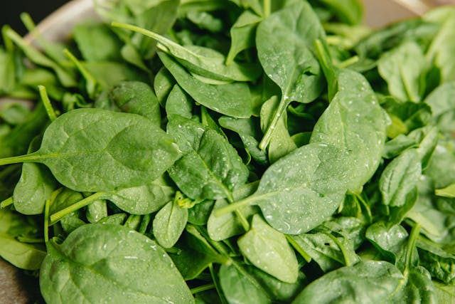 how to tell if frozen spinach is bad