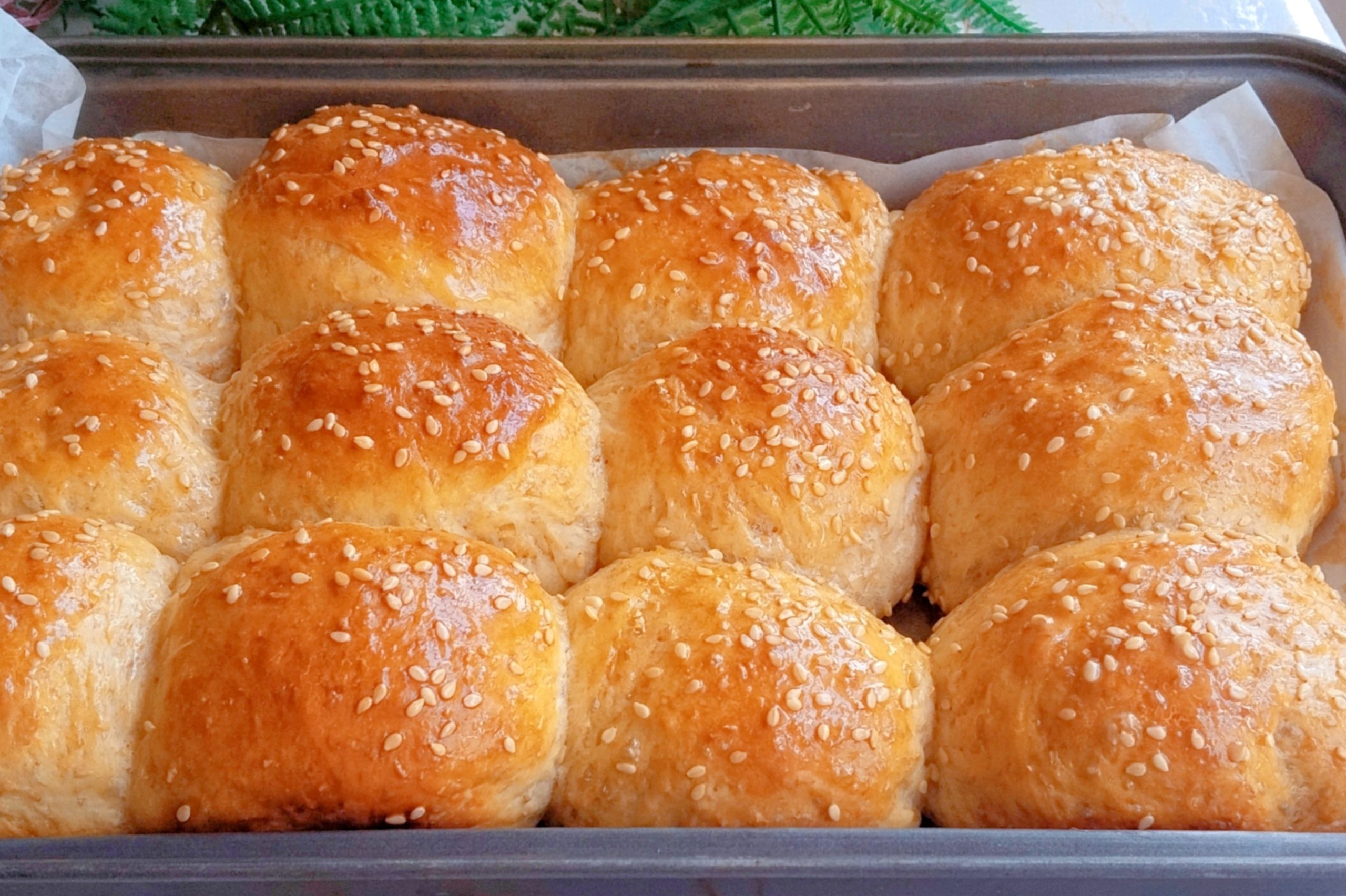 Whole Wheat Dinner Rolls - Balanced Healthy Meals