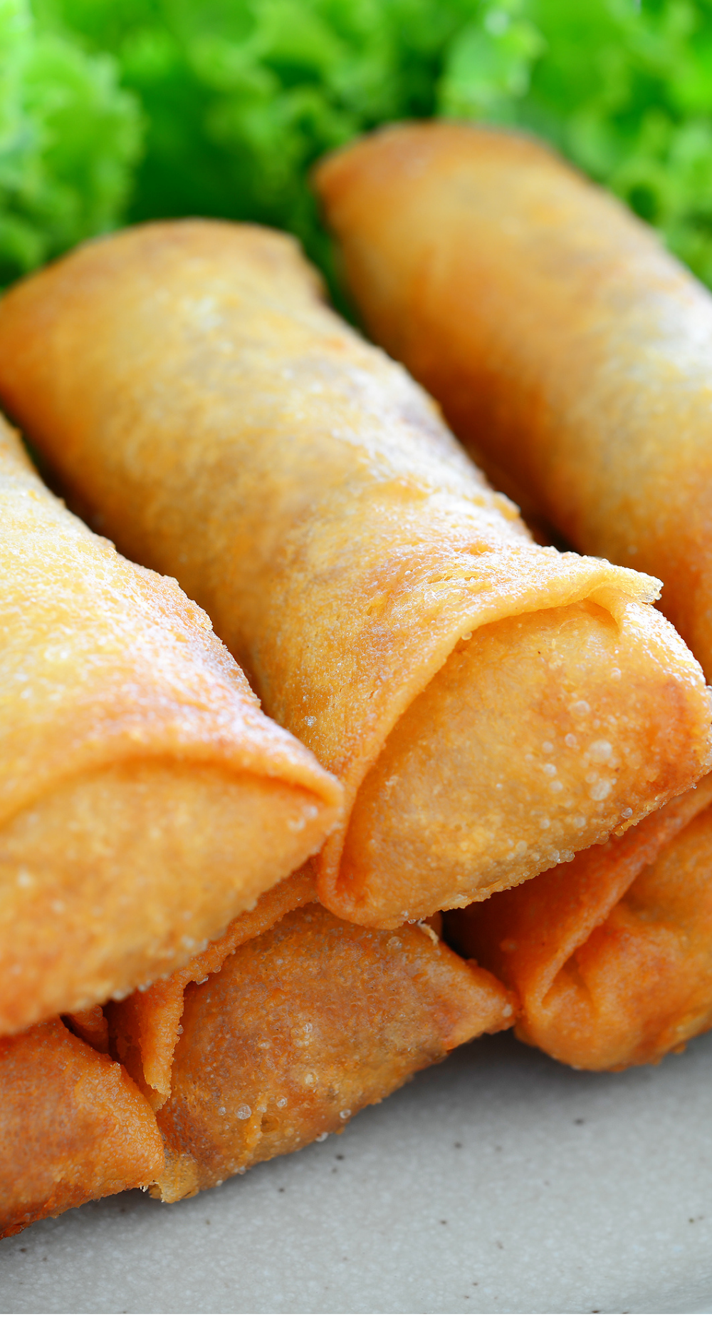 Fish Spring Roll