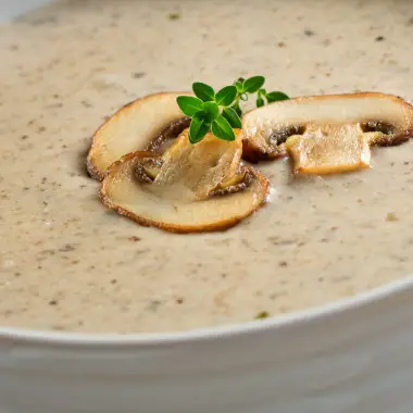 chicken mushroom soup