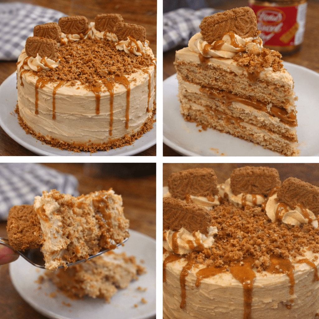 tasty biscoff cake easy